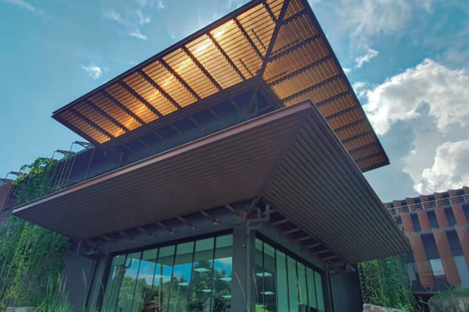 Polycarbonate Skylight